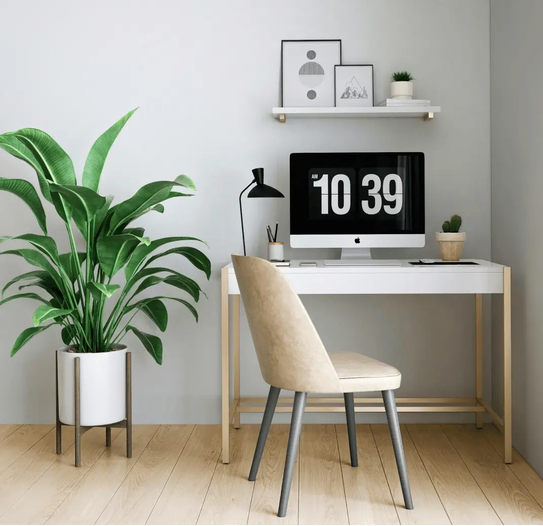 A minimalist home office with a desk, chair, computer, and a large plant.
